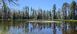 Featured Full Photo