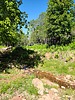 Featured Full Photo