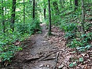 photo thumbnail #3