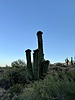 photo thumbnail #1