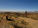 photo thumbnail #4