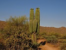 photo thumbnail #4
