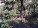 photo thumbnail #3