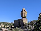 photo thumbnail #2