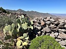 photo thumbnail #11
