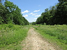 photo thumbnail #1