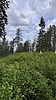 photo thumbnail #13