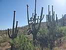 photo thumbnail #4