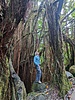 photo thumbnail #3