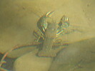 photo thumbnail #12