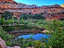 photo thumbnail #6