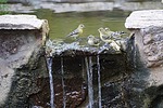 photo thumbnail #8
