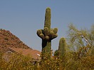 photo thumbnail #6