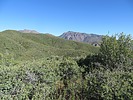 photo thumbnail #8