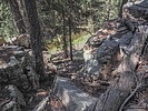 photo thumbnail #9