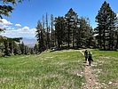 photo thumbnail #3