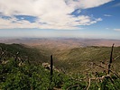 photo thumbnail #11
