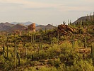 photo thumbnail #5