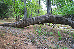 photo thumbnail #15