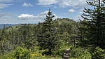 photo thumbnail #14