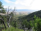 photo thumbnail #5