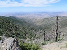 photo thumbnail #15