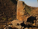 photo thumbnail #10