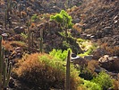 photo thumbnail #11