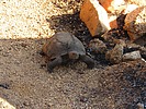 2024-06-15 :2: Ballantine to Boulder Flat :: DarthStiller