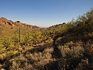 photo thumbnail #7