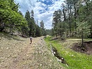 photo thumbnail #5