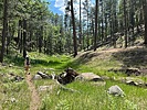 photo thumbnail #8