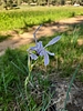photo thumbnail #14