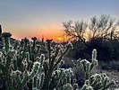 photo thumbnail #5