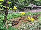 photo thumbnail #3