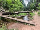 photo thumbnail #2