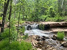 photo thumbnail #1