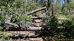 photo thumbnail #6
