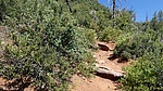 photo thumbnail #8