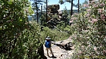 photo thumbnail #10