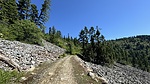 photo thumbnail #3