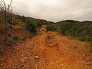 photo thumbnail #5