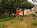 photo thumbnail #15