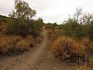 photo thumbnail #5