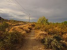 photo thumbnail #1