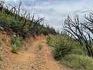 photo thumbnail #5