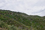 photo thumbnail #7