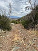 photo thumbnail #15