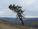 photo thumbnail #14