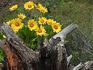 photo thumbnail #7